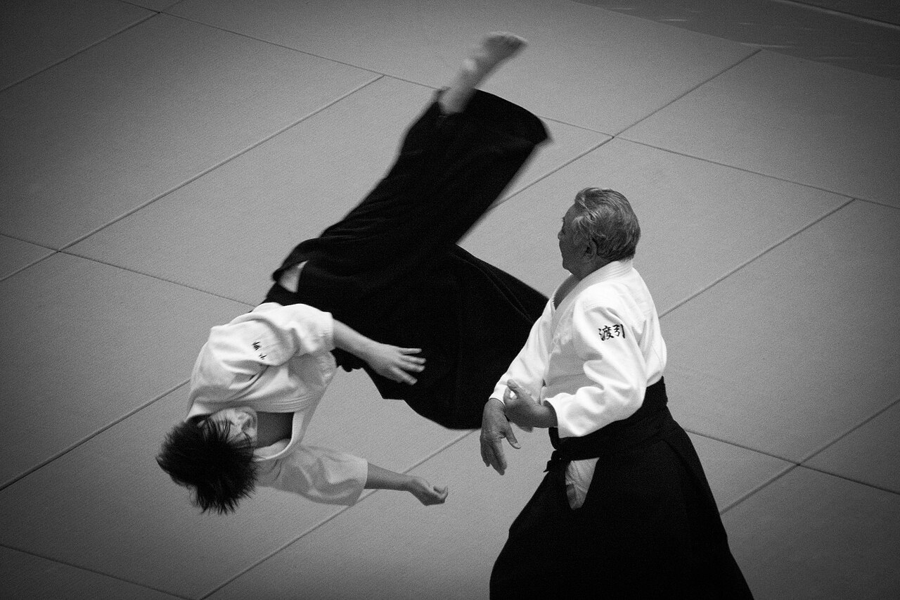 Aikido practitioners demonstrating a technique at the All Japan Aikido Demonstration